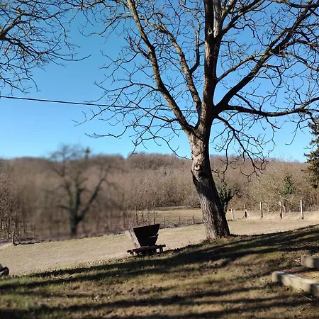 Apartamento Marókahegy *